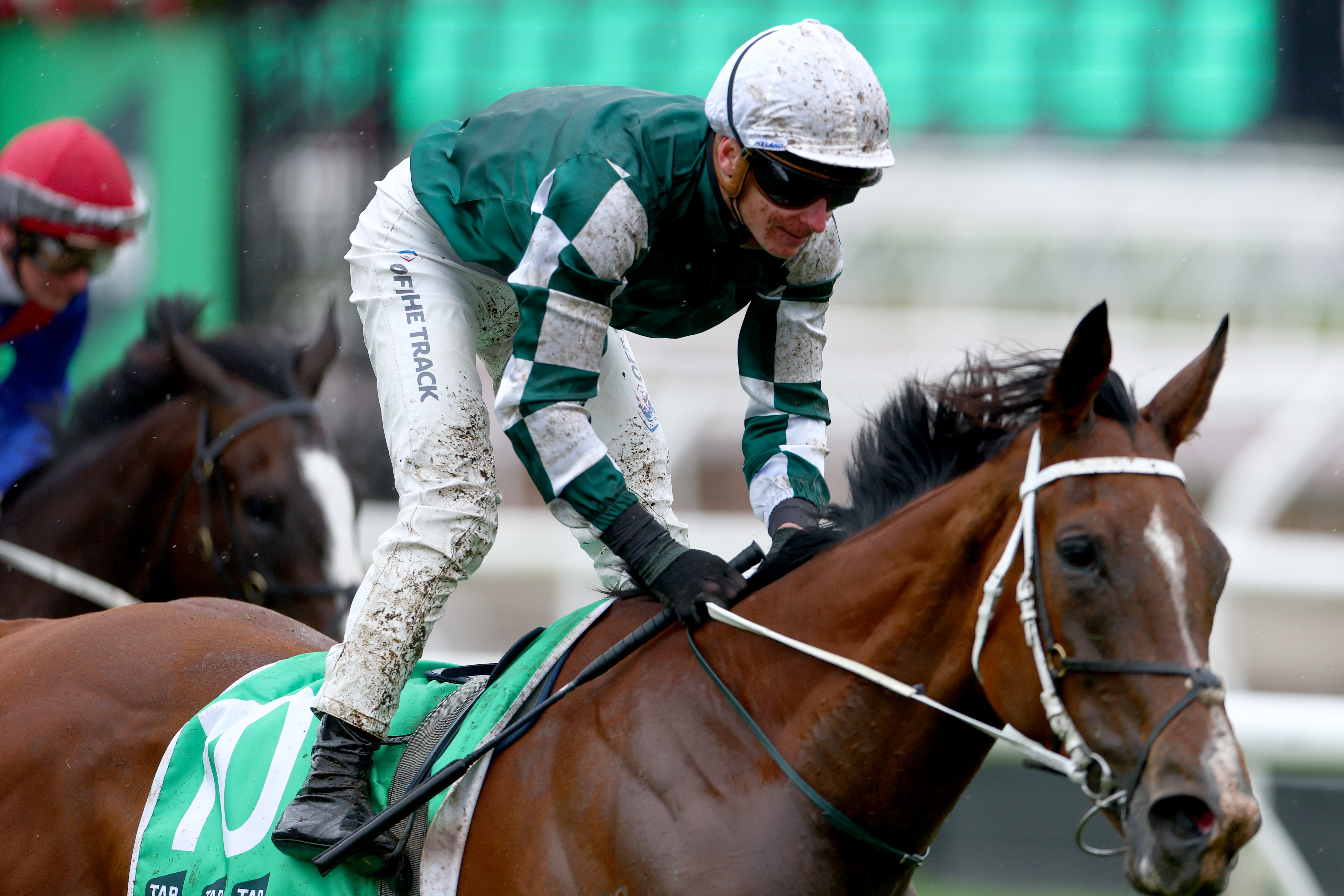 Over 286,000 celebrate world-class racing and entertainment at the Melbourne Cup Carnival