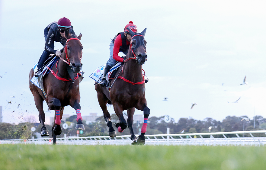 Romantic Warrior has first look at Flemington