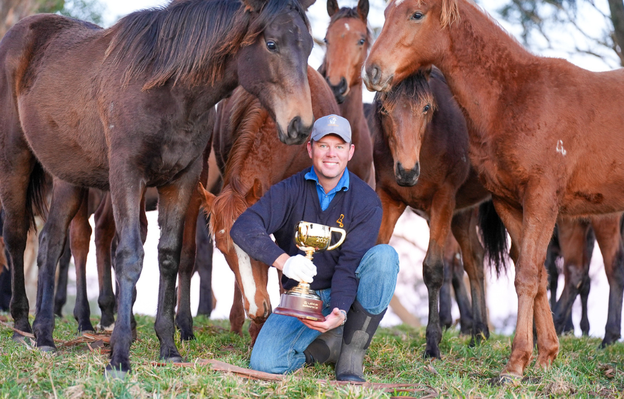 August 1: Every horse’s birthday