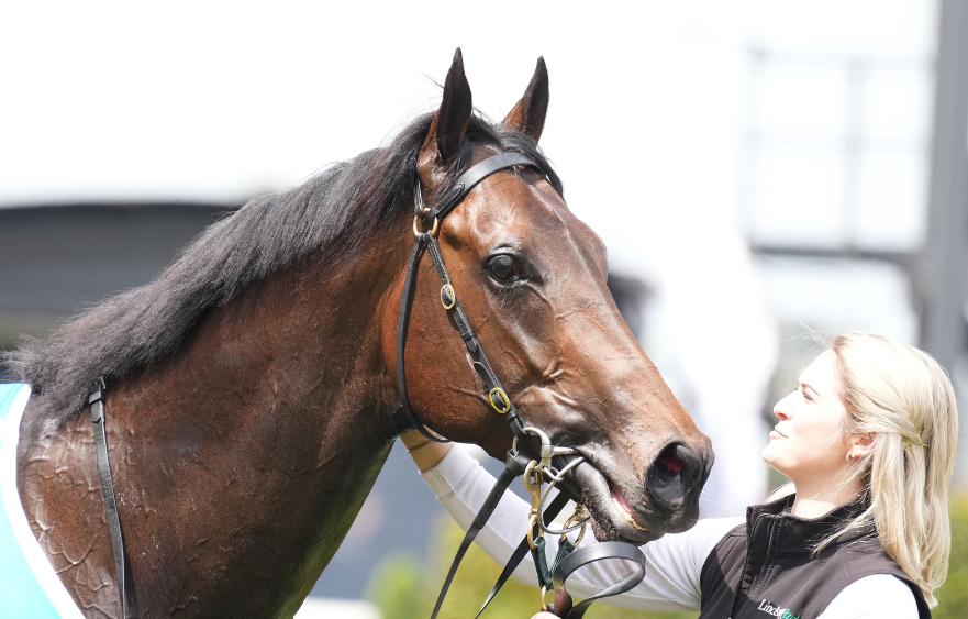 Arkansaw Kid chases Coolmore honours