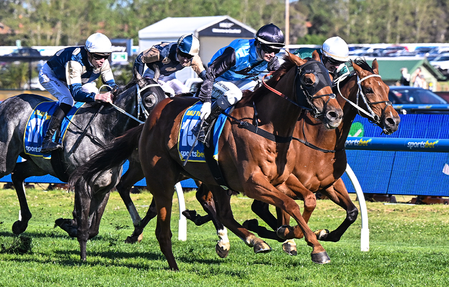 Half Yours re-handicapped for the Lexus Melbourne Cup