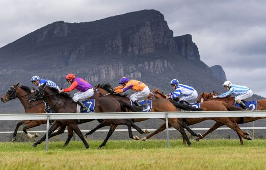 VRC to pay tribute to country participants on VRC Country Race Day