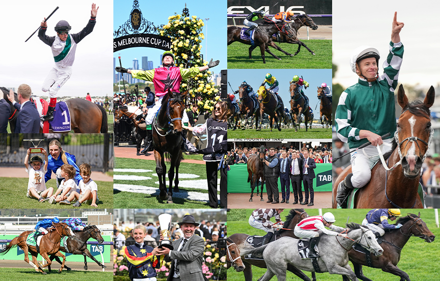 Flemington - 2024 wrapped