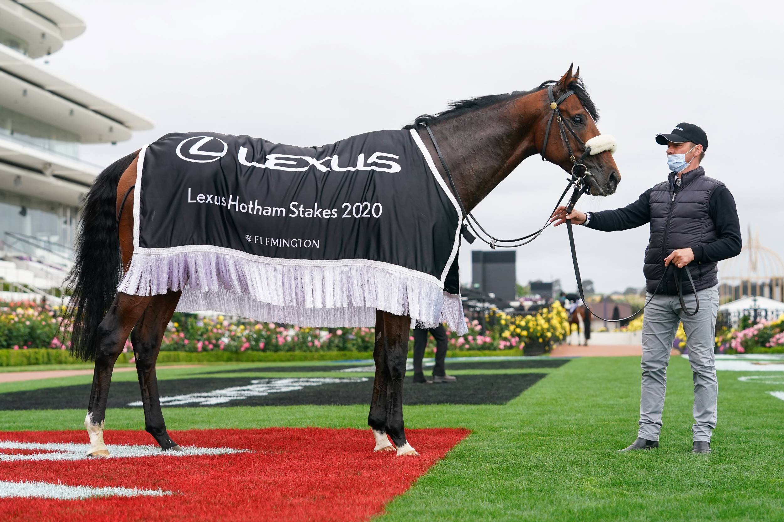 Ashrun returns to Flemington