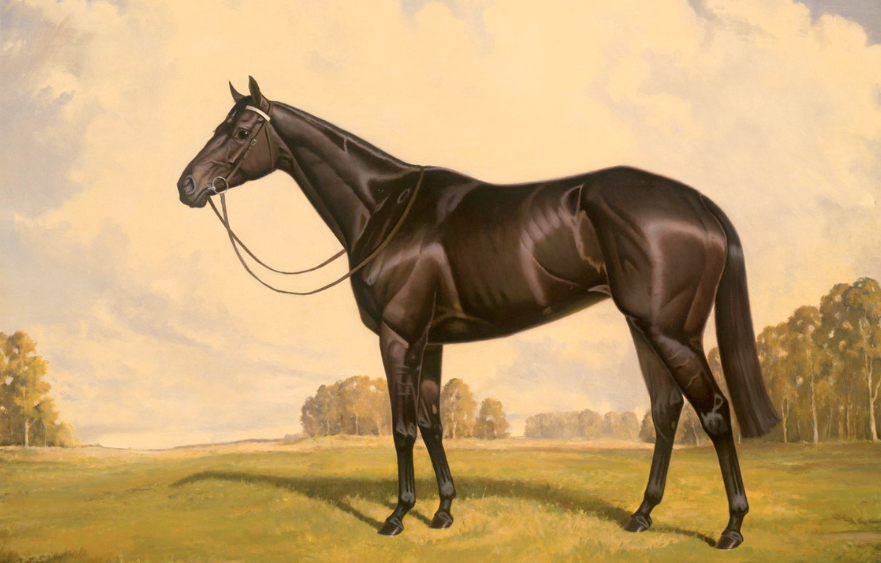 Leilani: The will to win