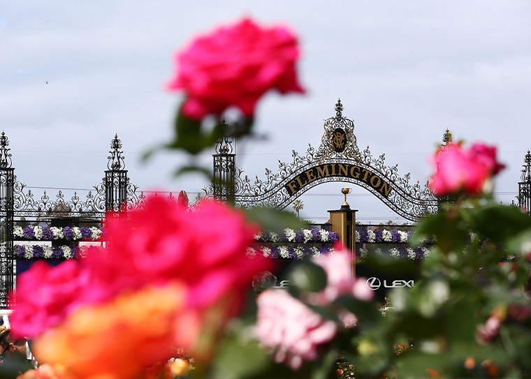 A wrap up of Flemington Finals Race Day