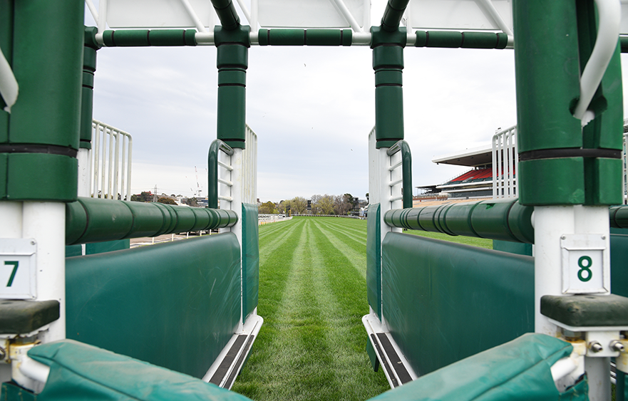 Luck of the barrier draw in the Melbourne Cup