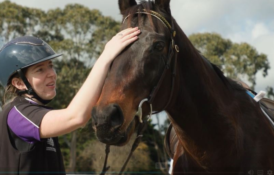 Thumbtacks’ new purpose