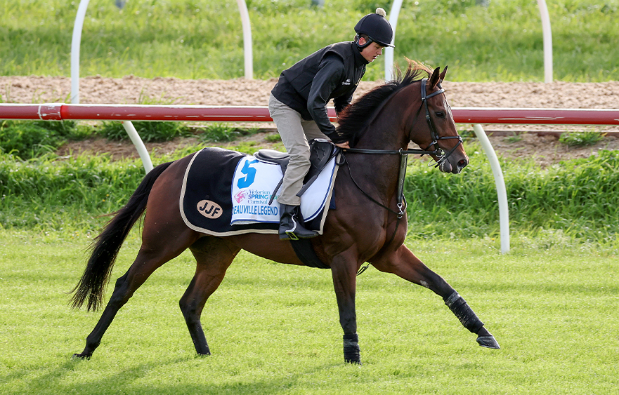 Internationals step out at Werribee