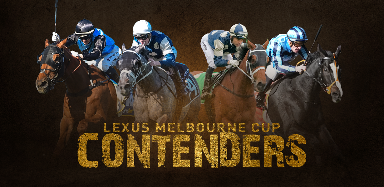 Quick look at the 2025 Lexus Melbourne Cup contenders