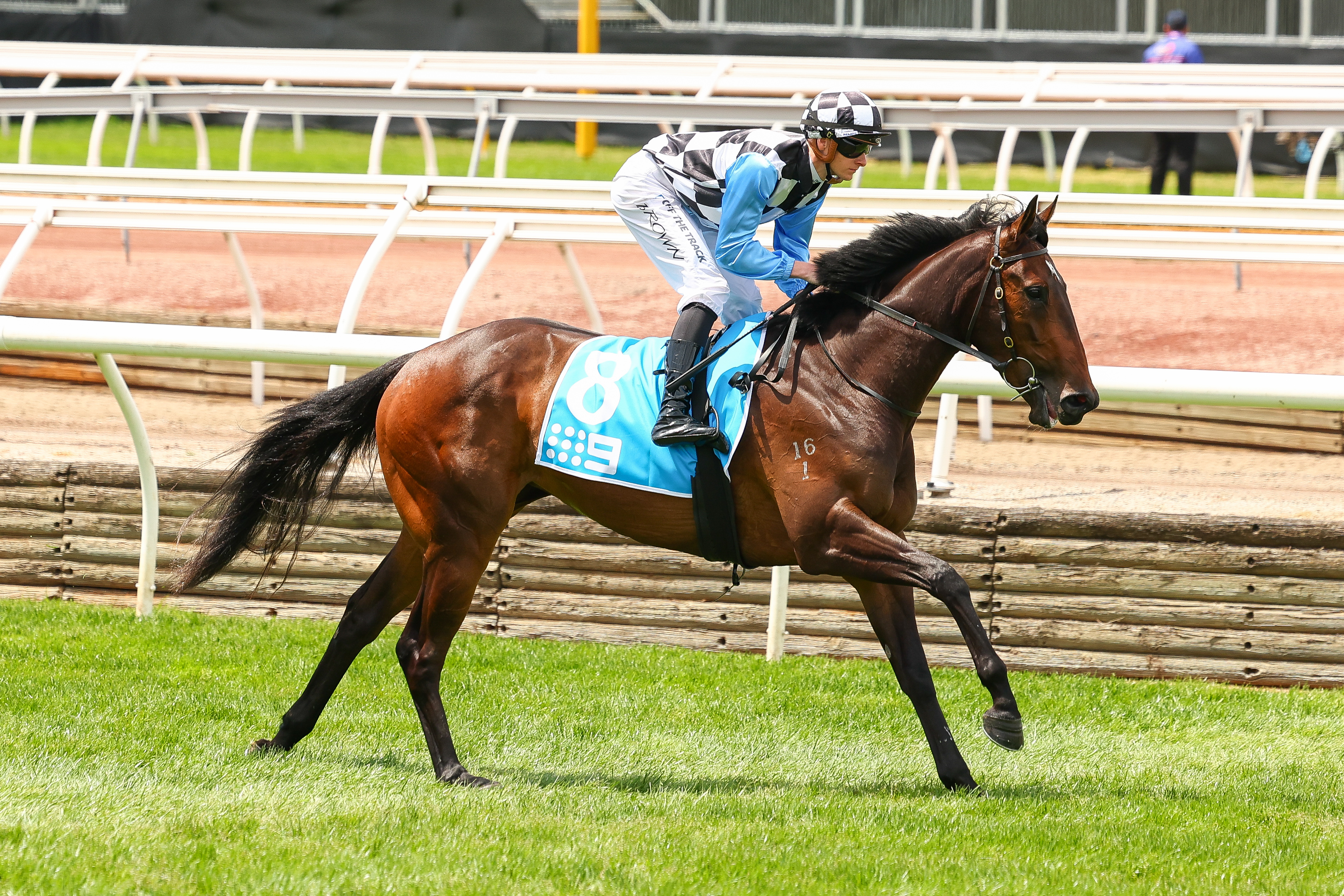 Prophet chases Another Guineas win