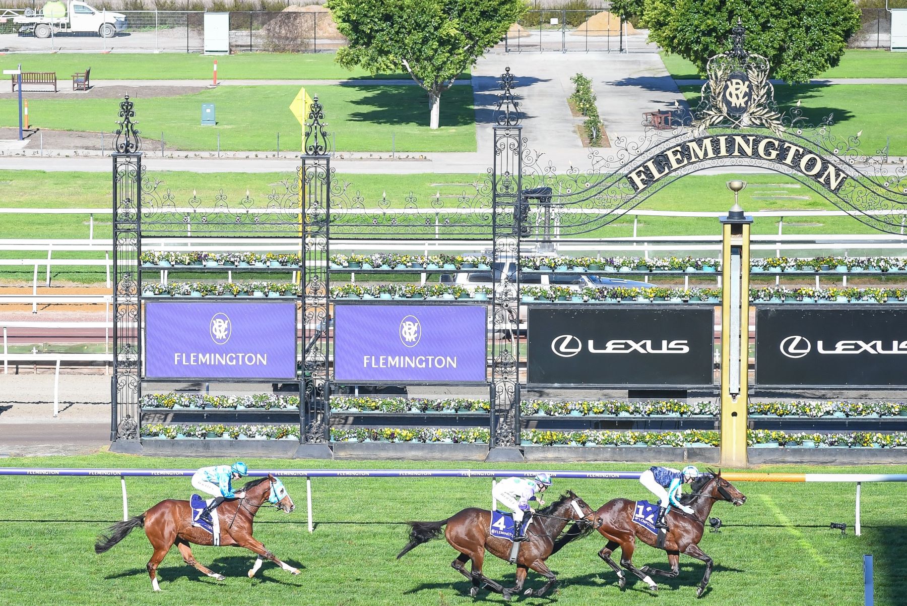 Hayes boys chase second Flemington Cup