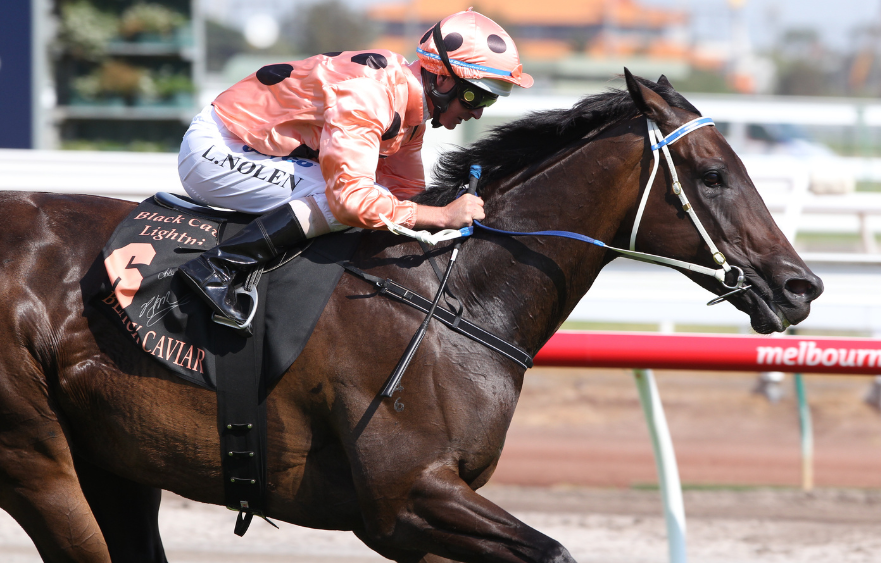 Black Caviar - the unbeaten 25