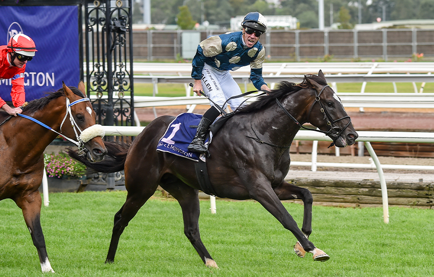 Derby and Guineas winner Hitotsu retired