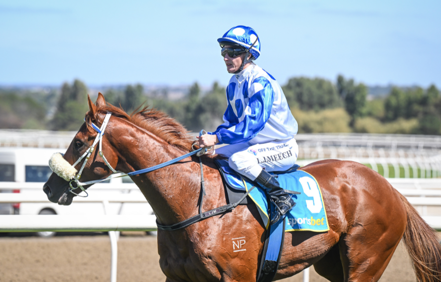 Skipjack running for Moody and Coleman