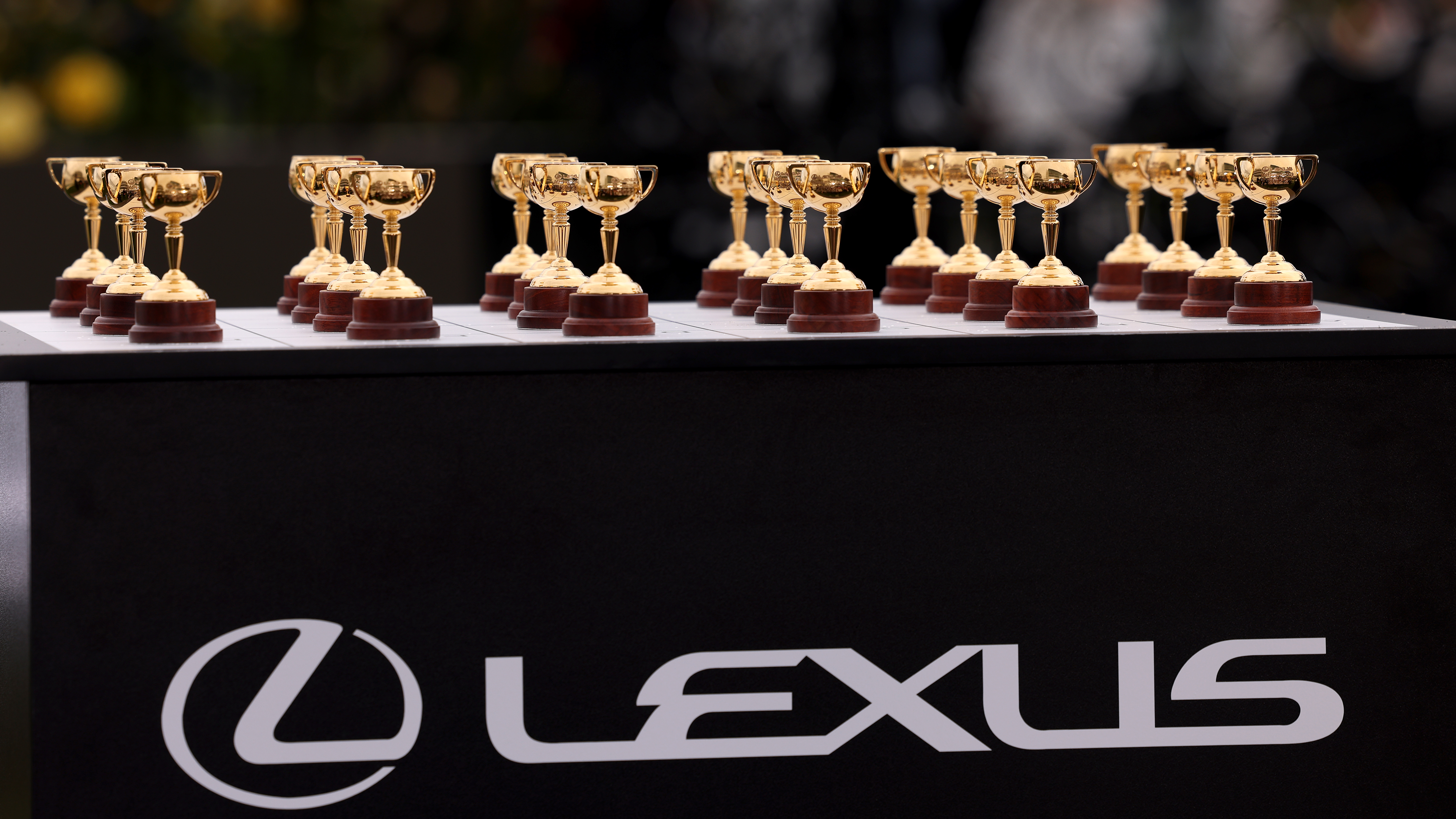 Lexus Melbourne Cup field finalised