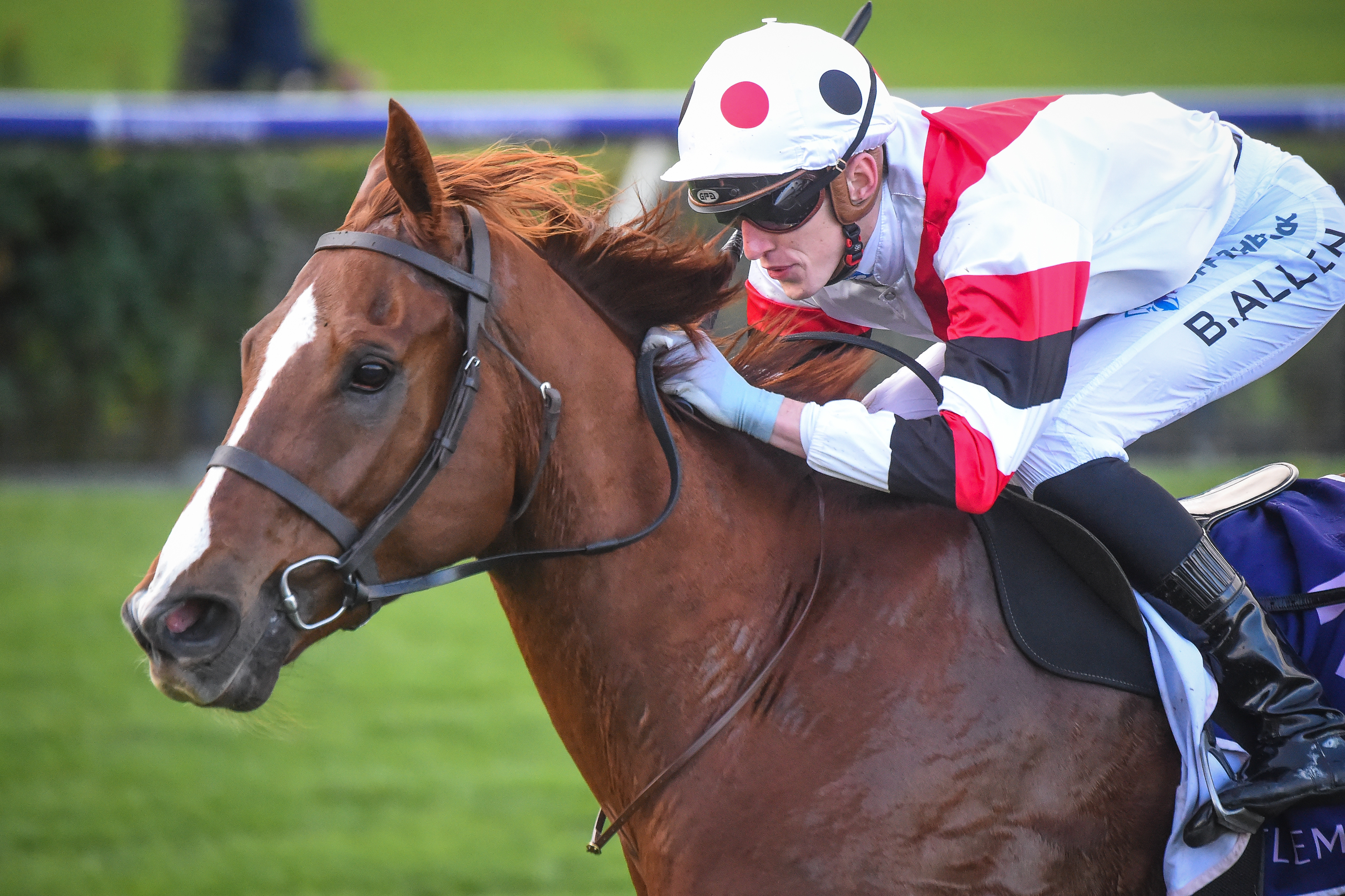 Jusufovic’s sweet Flemington double