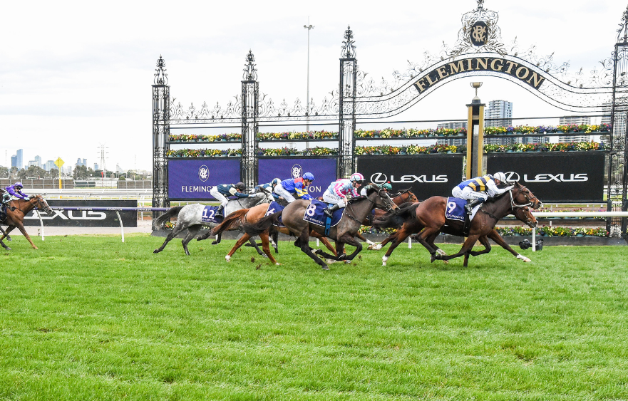 Hezashocka right to go in Australian Cup